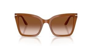 EMPORIO ARMANI 0EA4273BU 637613 Brille Brown