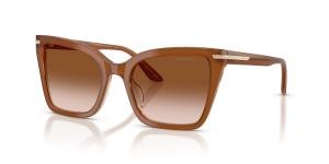 EMPORIO ARMANI 0EA4273BU 637613 Brille Brown