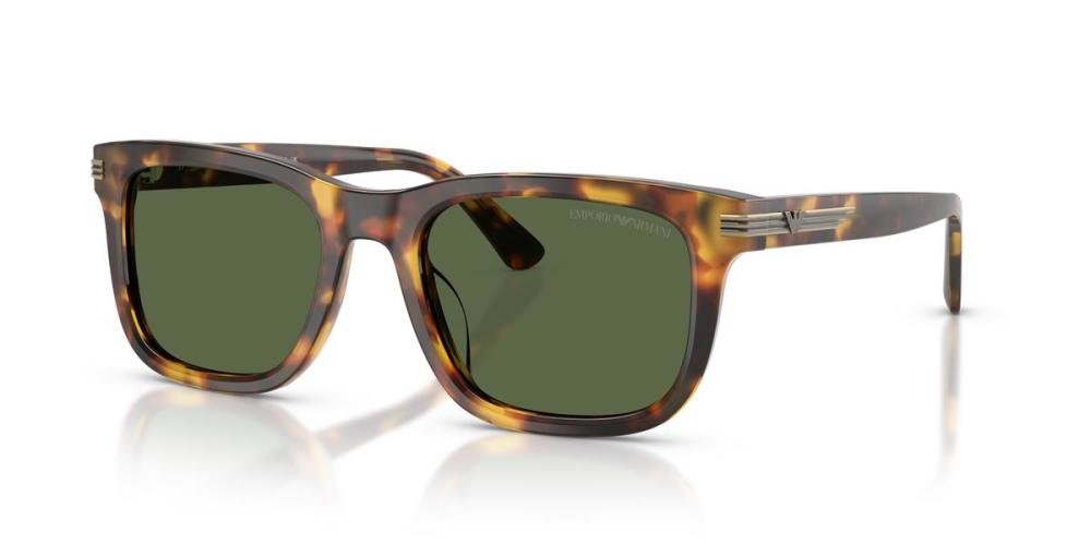 EMPORIO ARMANI 0EA4282U 599371 Brille Multi